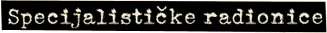 Specijalističke radionice