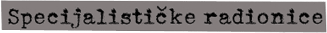 Specijalističke radionice